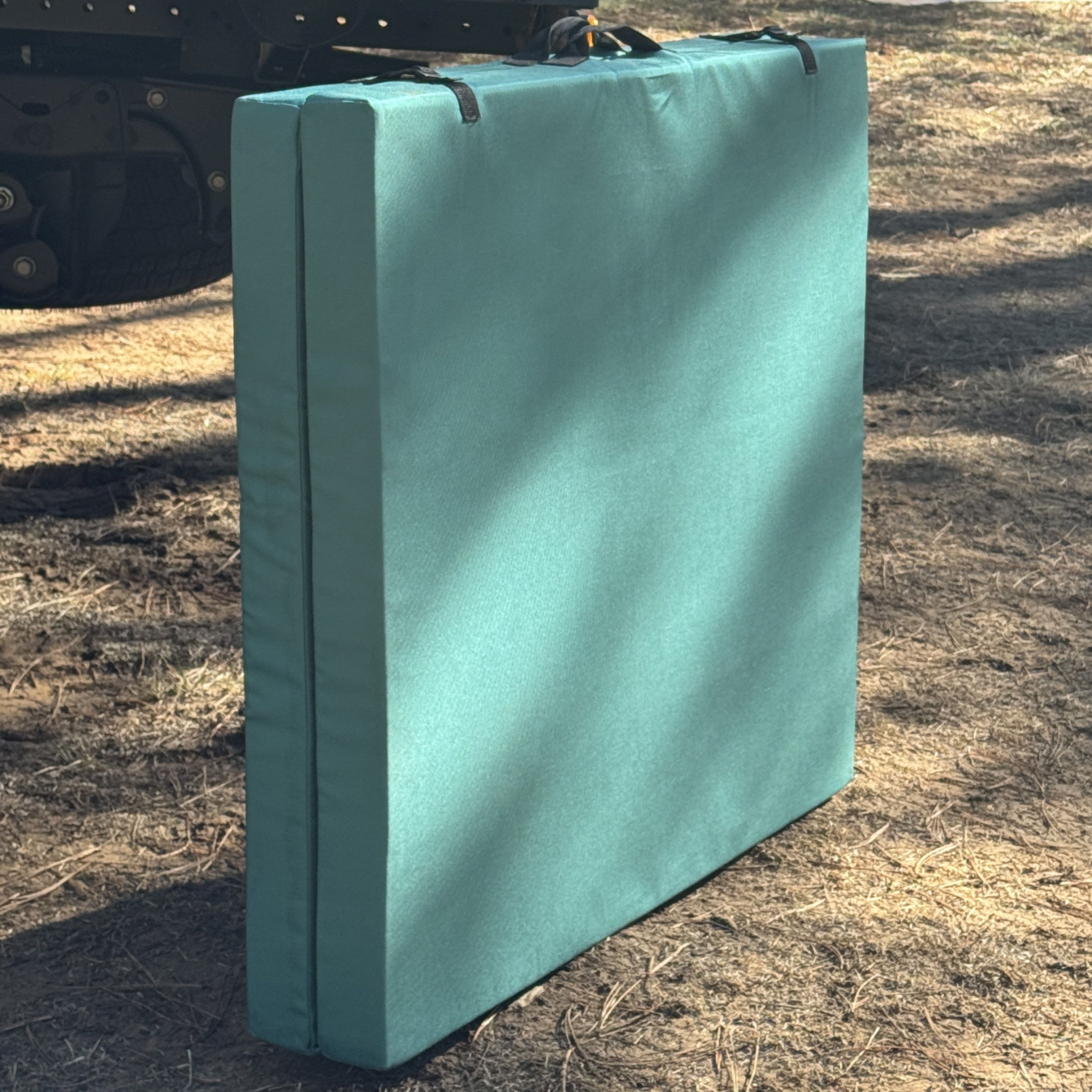 Teal cushion attached to a vehicle's roof rack with a natural background